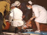 Các nạn nhân trong vụ đầu độc ở Tokyo.