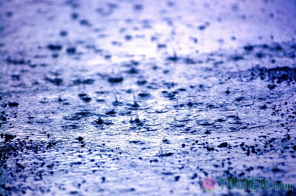 011_pouring_rain.jpg