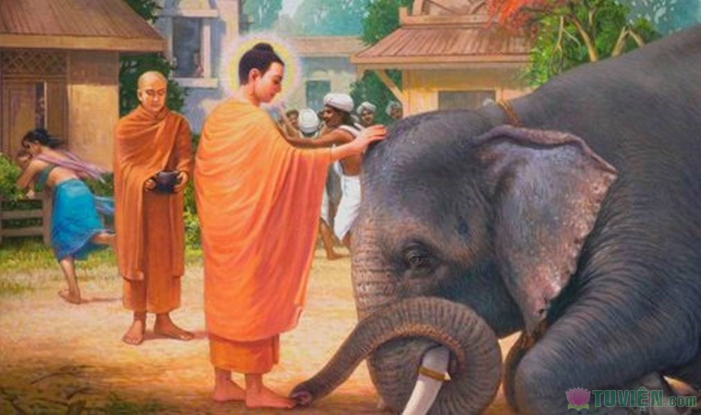 rs1_1007-buddha-healing-elephant.jpg