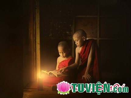 Chân lý sống trên con đường Phật pháp