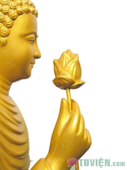 Đạo Đức Phật Giáo Và Giới Luật Cho Người Tại Gia