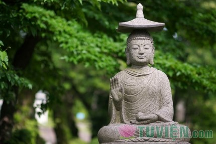 Tìm hiểu về Phật giáo?