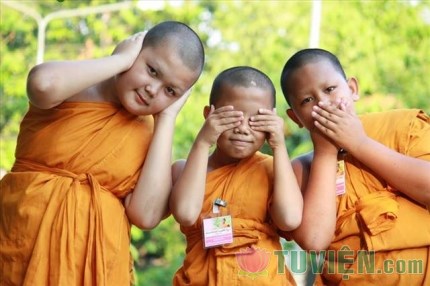 Khi người học Phật không chịu trưởng thành