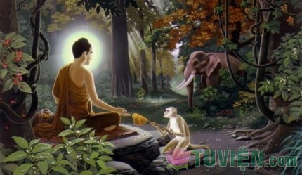 Thú vật có hiểu được Phật pháp hay không?