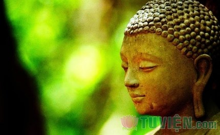 Câu chuyện: Tìm Phật ở đâu?